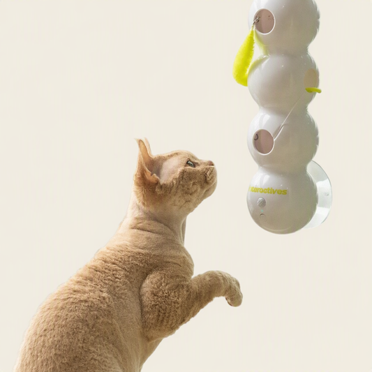 Wiggle Worm Cat Teaser