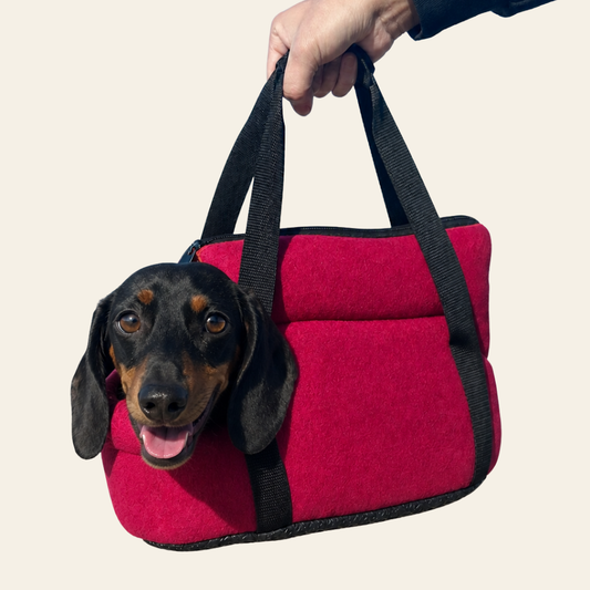 Soft Travel Carrier