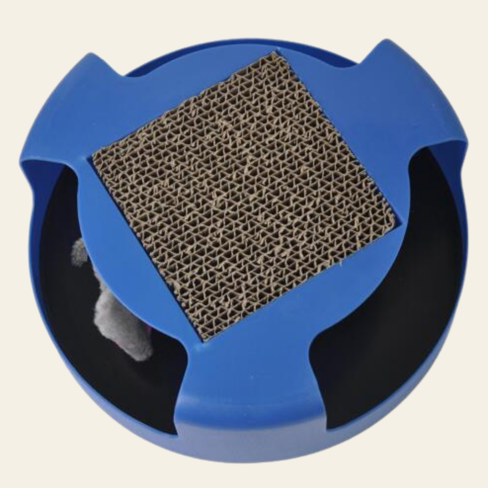 Spinning Ball Cat Track